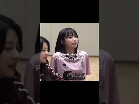 dayumm ~ #lesserafim #chaewon #kimchaewon #fearnot #kpop #edit #foryou #fypシ #fyp #viral