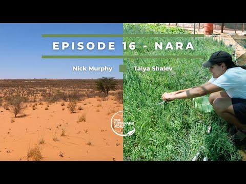 Nara - Can You Really Farm The Desert?