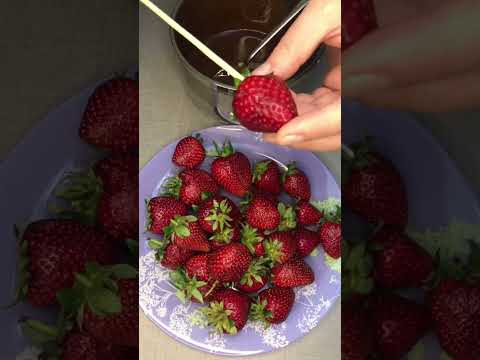 Chocolate Strawberry 🍓 #strawberry #chocolatestrawberry