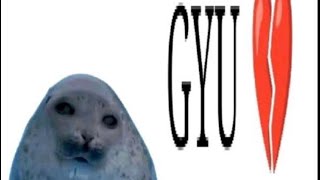 Seal compilation video  `(*∩_∩*)′
