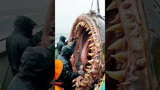 Scientists Discover STRANGEST Creatures EVER Seen In Deep Ocean!