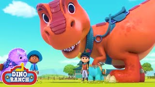 T-Rex Tug-of-War and more episodes! | Dino Ranch | Cartoons For Kids