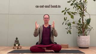 Roots of Flow | Energetic Alignment in Vinyasa Yoga