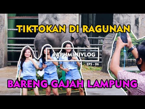 MAIN TIKTOK DIKANDANG GAJAH | EPS 07