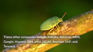 Oracle Brings Most Java Changes and Additions