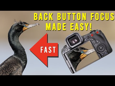 Master Back Button Focus on Canon R5 Mark II  Ultimate Wildlife Photography Hack
