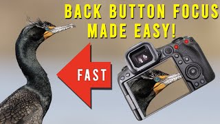 Master Back Button Focus on Canon R5 Mark II  Ultimate Wildlife Photography Hack
