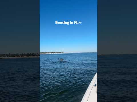Just another day in Florida…🐬☀️ There’s nothing like living where you vacation 💙