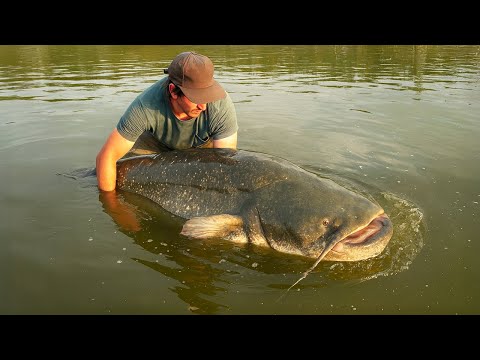 Battles With GIANT CATFISH in the WILD RIVER!