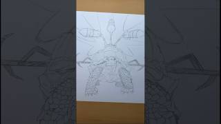 #drawing#turtle#turtoise#draw#sketch#animalart#animalartwork#turtledrawing#turtleart