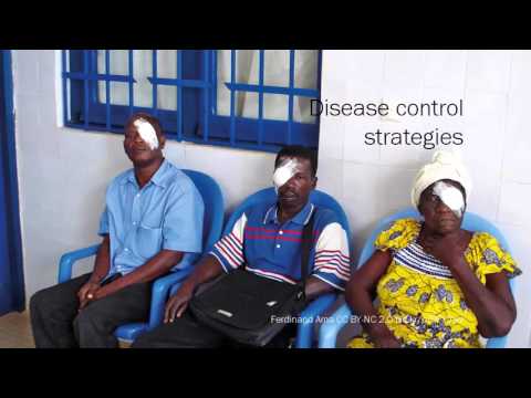 Global Blindness course: VISION 2020: The Right to Sight