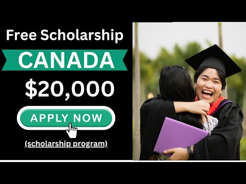 Free Scholarship Opportunities for 2024: Don't Miss Out!