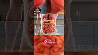 You See Inside A Real Human Body 👁️‍🗨️You See Inside A Real Human Body 👁️‍🗨️