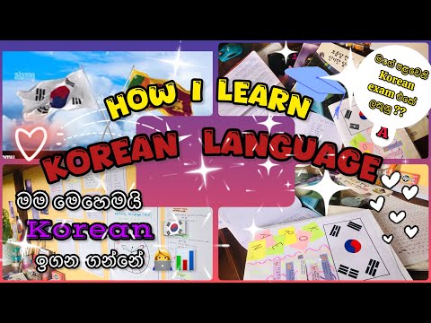 How l learn Korean 👩‍💻🇰🇷මම මතක හිටින විදිහට කොරියානු භාශාව ඉගන ගන්න ක්‍රම සහ පළවෙනි exam එකේ ලකුනු🎓📊