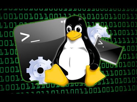 Проходимо машинку Cap на HackTheBox. Знайомимось з IDOR, Wireshark, linpeas та Linux Capabilities.