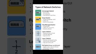 Types of Network Switches | Unmanaged, Managed, PoE & More | NetworkEducative