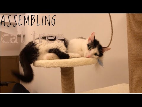Assembling A Cat Tree, Catlog - 6