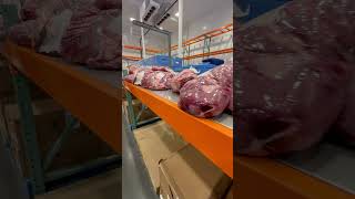 Costco Business Center Is NOT What I Expected #costcobusinesscenter #costcohaul #costcofinds #bulk