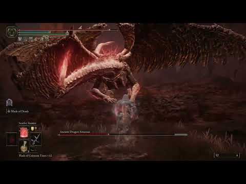 Senessax you were destined to rot.