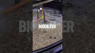 Biofilter