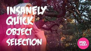 Insanely Quick Object Selection in Photoshop 2020