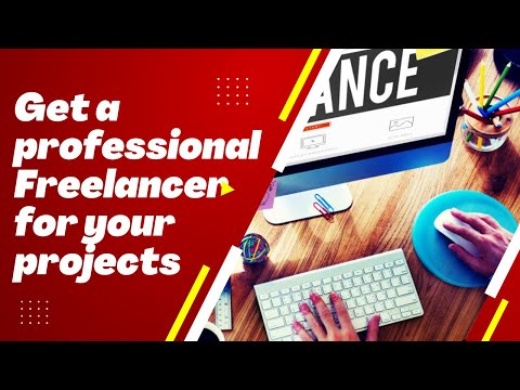 Find the perfect freelancer services for your business