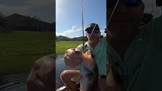 Spearpoint Fishing Hooks And a Psycho Fishing Senko Worm | Texas Rig #short #shorts