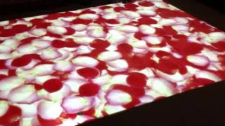 Interactive : Effects