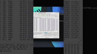You know about wireshark #cybersecurity #motivation #codinglife #sigma #cybergrind #edit #darktech