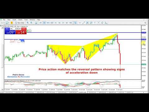 EURJPY Jul 24 Bfly T2
