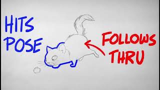 CAT SPIDER ANIMATION ANALYSIS - James Baxter