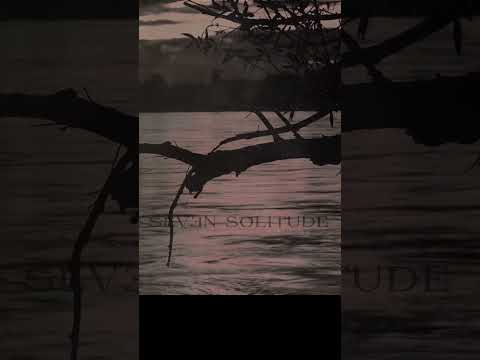 #shorts Seven solitude - Before the Dawn