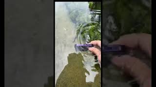 IPHONE 14 PRO🔍UNDER WATER VIDEO 📷😍 #iphone #shorts #viral