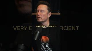 Elon Musk: Human Brain vs. AI Efficiency