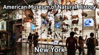 American Museum of Natural History Tour - New York City | 4K