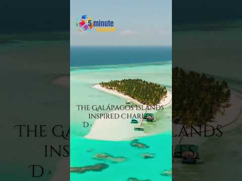 #5MinuteGeography #galapagosislands  #GeographyShorts #EarthScience #ExploreTheWorld #DidYouKnow