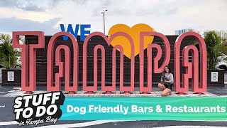 Top 3 Dog Friendly Restaurants and Bars in Tampa Bay