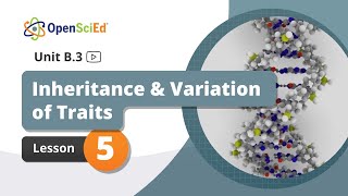 Unit B.3 Lesson 5 Planning Video | OpenSciEd On-Demand Resources