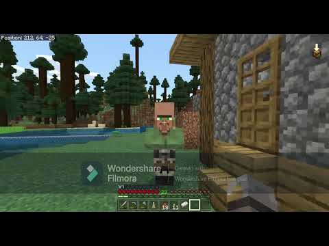 I gave a villager a house (Minute Moment 10)