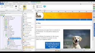 How to Publish a SCORM Compliant Lectora Course to an LMS