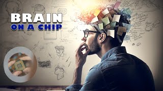 High January 2024 | Brain on a Chip | Brainfeed TV