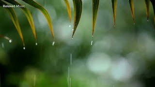 Relaxing Piano Music with Gentle Rain Sounds 🌙 Deep Sleep, Relaxation & Stress Relief