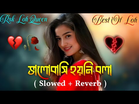 Bhalobashi Hoyni Bola (Slowed + Reverb) ভালোবাসি হয়নি বলা | Bangla New Lofi Song