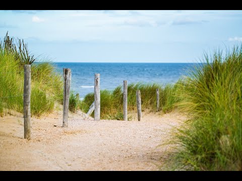 Ocean Waves Relaxation 6 Hours | Soothing Waves Crashing on Beach | White Noise for Sleep or Focus