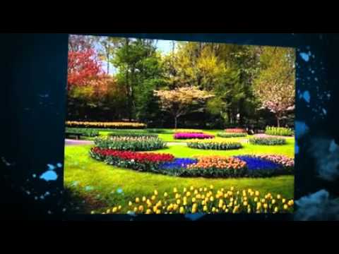 Knoxville Tennessee Landscaping designers backyard tips