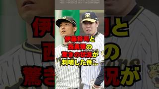[Hanshin] Here is the surprising current situation of Masashi Ito and Yuki Nishi...