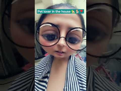 petlovers gaali do❣️🐕🏡...#funnyvideo #voiceeffects #shikayat #funny #trendingshorts #comedy #pets