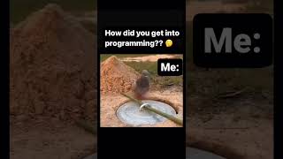 How you get into programming? #coding #codinglife #codingmeme #memes