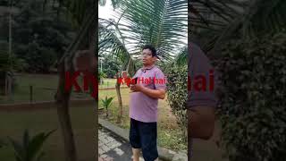 #viral #halchalcomedyteam #funny