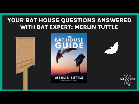 Bat House Expert